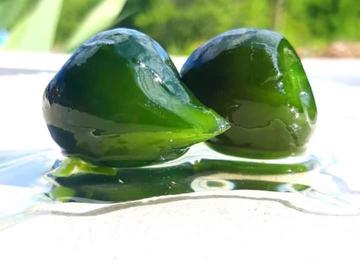 מלון Kelcyre Ferma Albanik מראה חיצוני תמונה